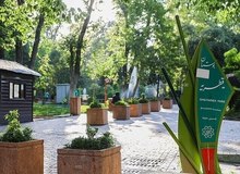 دبیر شورای ساماندهی، توسعه و گسترش مساجد تهران: با بهترین متریال مسجد قیطریه را می سازیم 