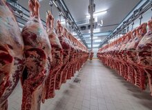 دویست هزار تن گوشت قرمز کنیا در راه بازار ایران
