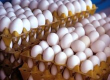قیمت جدید تخم‌مرغ اعلام شد +جزئیات 