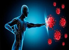 با این ۴ ماده طبیعی، ویروس‌ها جرات نزدیک شدن ندارند+اسامی 