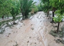 جان باختن ۱۶۰ نفر بر اثر سیل و بارندگی در پاکستان