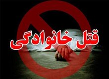 جوان  ۳۴ ساله به خاطر سهم الارث مادر ۷۲ ساله و دو برادرش را به قتل رساند