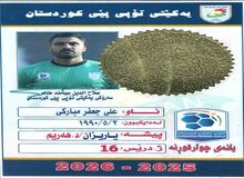 کارت بازی صادر شد و حالا همه منتظر جادوی مبارکی در زمین هستند