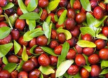 خواص شگفت‌انگیز عناب؛ از کاهش کلسترول تا تقویت پوست
