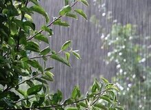 پیش‌بینی وضعیت هوا طی ۳ روز آینده/ رگبار باران و وزش باد شدید در این استان‌ها