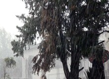 بارش باران شدید از ساعت ۱۶ در تهران آغاز می‌شود/ سرعت باد به 70 کیلومتر بر ساعت می‌‌رسد
